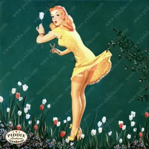 PDXC9290 -- Pin-Ups