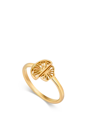 Wedge Fan Ring, Gold
